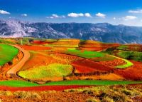 东川红土地图片|东川红土地门票多少钱|东川红土地在哪里