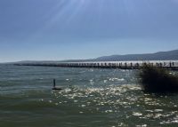 呈贡·滇池生态湿地公园(捞鱼河湿地公园)图片|呈贡·滇池生态湿地公园(捞鱼河湿地公园)门票多少钱|呈贡·滇池生态湿地公园(捞鱼河湿地公园)在哪里