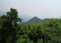 青龙潭公园图片|青龙潭公园门票多少钱|青龙潭公园在哪里