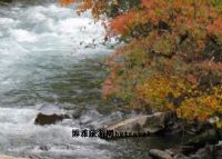 西畴鸡冠山森林公园图片|西畴鸡冠山森林公园门票多少钱|西畴鸡冠山森林公园在哪里
