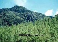 南捧河省级自然保护区图片|南捧河省级自然保护区门票多少钱|南捧河省级自然保护区在哪里