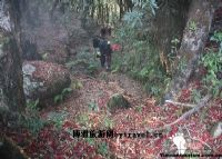 高黎贡山百花岭图片|高黎贡山百花岭门票多少钱|高黎贡山百花岭在哪里