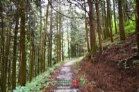 南岭五峰山图片|南岭五峰山门票多少钱|南岭五峰山在哪里