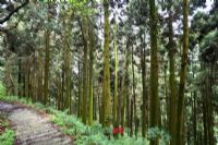 陆良县终南山图片|陆良县终南山门票多少钱|陆良县终南山在哪里