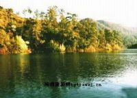灵芝湖森林公园图片|灵芝湖森林公园门票多少钱|灵芝湖森林公园在哪里