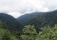阿罗欧滨景区图片|阿罗欧滨景区门票多少钱|阿罗欧滨景区在哪里