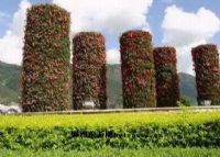 西隆山自然保护区、