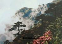 苍山西坡图片|苍山西坡门票多少钱|苍山西坡在哪里
